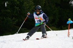 WFZ16_038.jpg